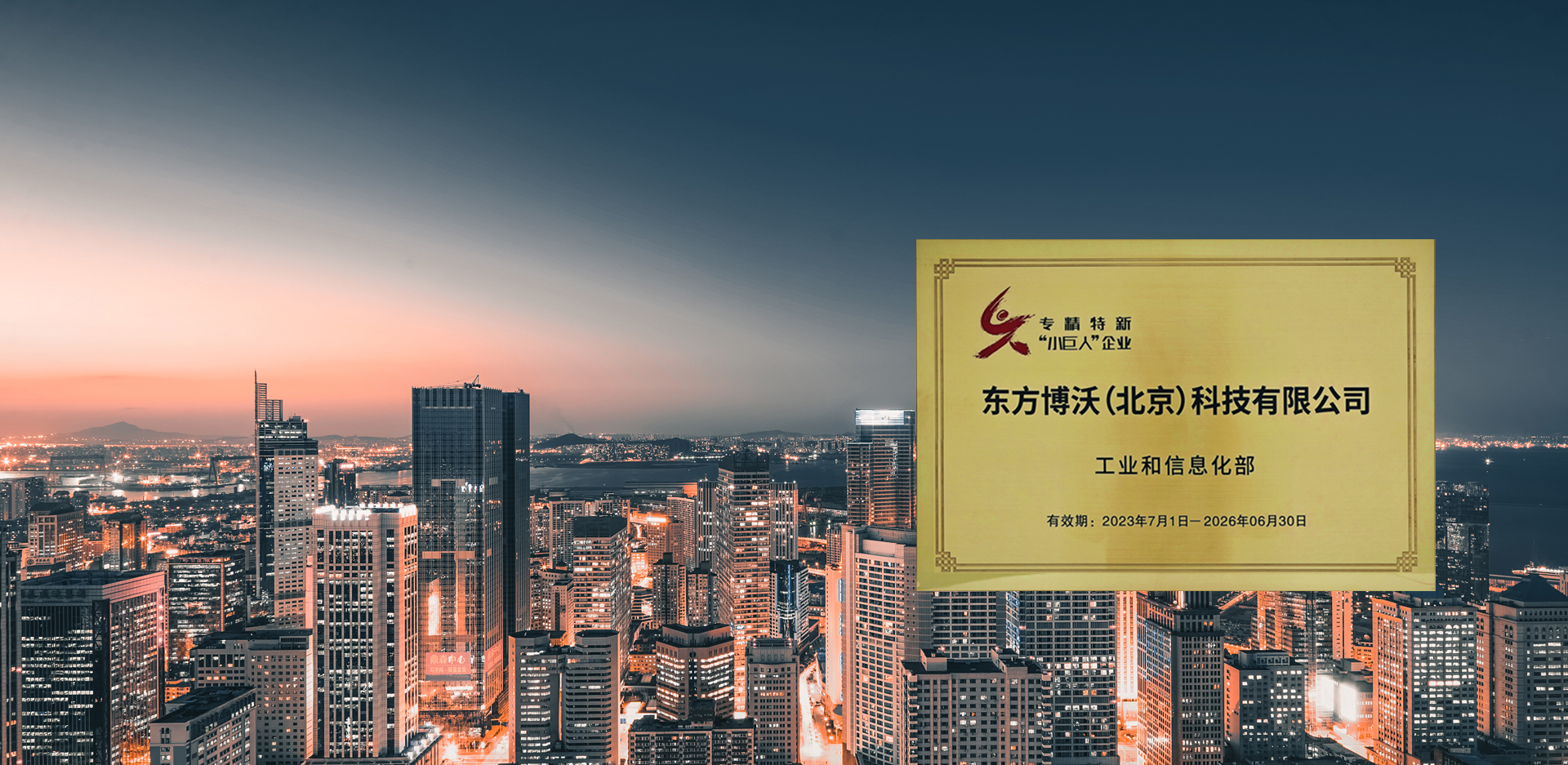 DS视讯，荣获<br />国家级专精特新“小巨人”称号